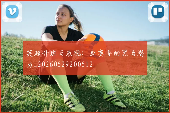 英超升班马表现:新赛季的黑马潜力_20260529200512