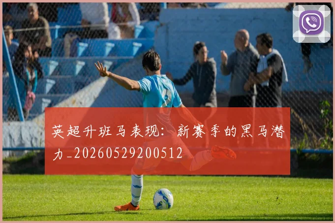 英超升班马表现：新赛季的黑马潜力_20260529200512